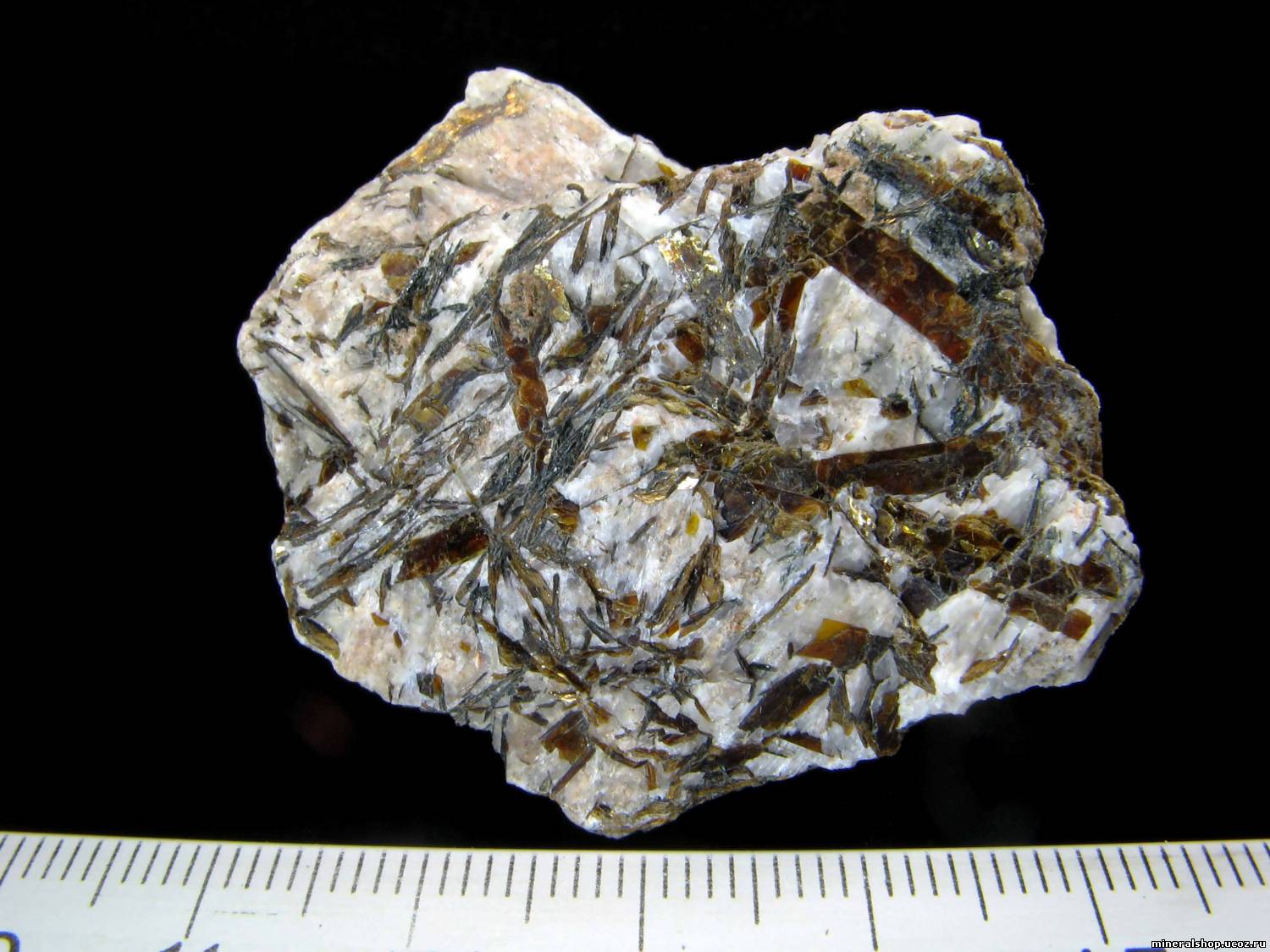 Астрофиллит (Astrophyllite) (МХ 166)