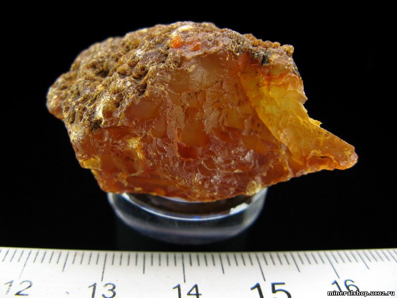 Сердолик (ЕВ 526)