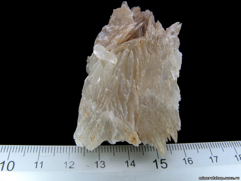 Кликните для увеличения изображения