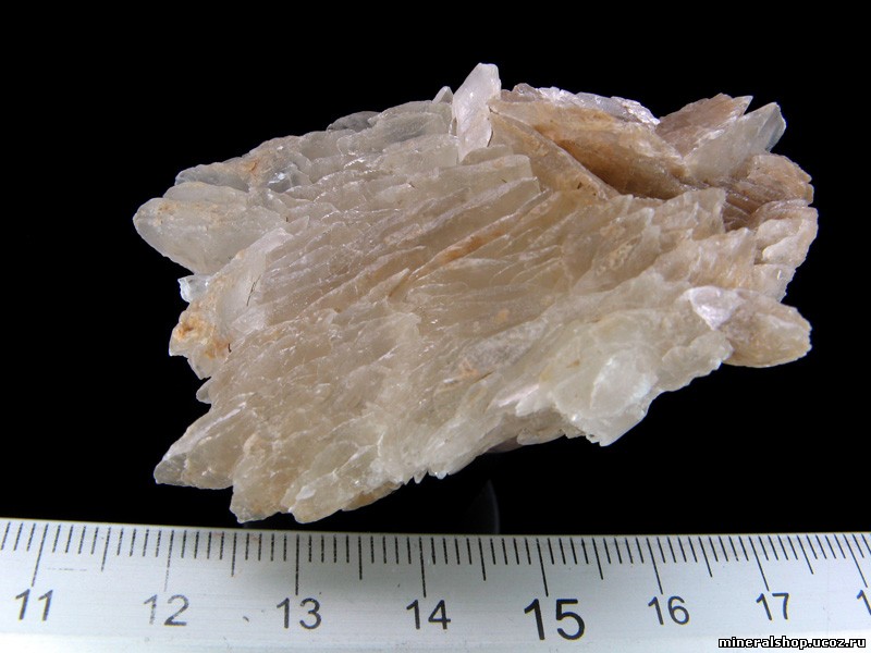 Кликните для увеличения изображения