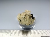 Ортоклаз (ГГ 397)