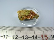 Вульфенит (МК 21)