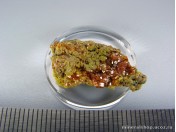 Вульфенит (МК 21)
