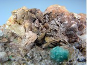 Брошантит, гипс на доломитовой матрице (МС 217)