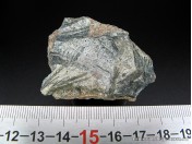 Роговая обманка (HORNBLENDE) (ЕВ 759)